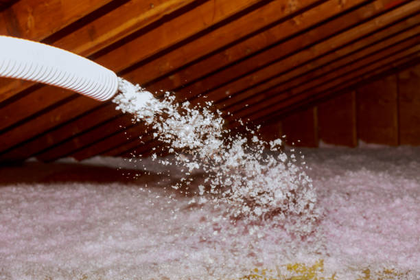 Best Cellulose Insulation  in Firthcliffe, NY
